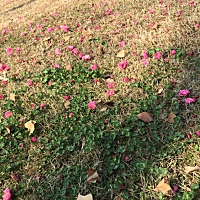 其实让我讨厌一个人不是随便的，就像婆婆一样，我在医院做完破产也好，第二次手术也罢，婆婆都是把娃放...