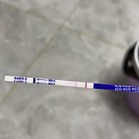 9.1号开始备孕，5号排卵期同房，今天测的试纸，这是怀孕了吗？
