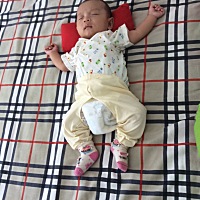 土豆白天睡，晚上醒，黑白颠倒了