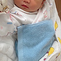 传每位想要女宝宝❤️的妈咪