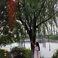 现在这个阶段的心情既敏感又脆弱，一件微不足道的事情就格外的伤心，平时能包容的事情现在也觉得无法接...
