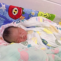 7斤大胖小子