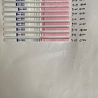 怎么感觉好多天都是强阳啊？不知道到底啥时候是排卵日了。。。