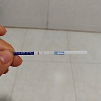 这是怀孕了吗？