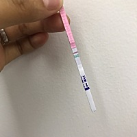 搞不懂了，自己是月经干静后23天了，干净后每天都在测排卵，可还是这个鬼样子，是我已经不排卵了吗？可...