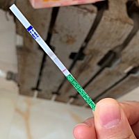 软件排卵日是20号，之前我的宝宝胎停了一次，所以特别期待他再次回来。所以27号就测试了一下。请问大家...