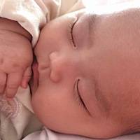 只有睡着了才最乖