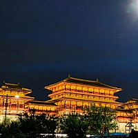 繁华的洛阳夜景，壮观的古城墙，快乐的小冬宝🥰