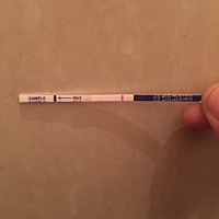 是不是又没有希望了呢？我的宝宝你快来吧 爸爸妈妈在等你😀😀😀