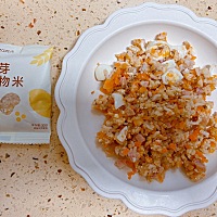 #科学喂养爱在萌馨#肉松胚芽饭好好吃