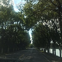 按理姨妈第三天，但是到现在都没有，我感觉我怀孕了，准备买试纸测一下
