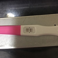 九月13号来的月经，今天早上10月11号测的，预测应该这月9号来的：本来单侧输卵管不好怀孕：不敢测。没想...