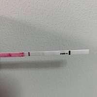 都说备孕的人自带双杠，这是秀儿试纸四五分钟拍的，我看着有意念灰，我老公说没有