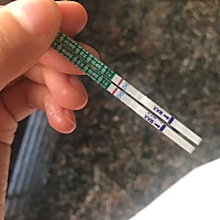不晓得这辈子能不能看到测怀孕试纸一条杠变两条杠是啥子😼又是一次没有期待也毫无惊喜
