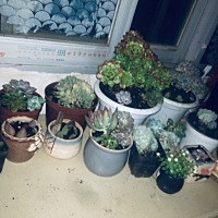 好困   昨晚11点多睡到现在还很困