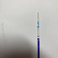 距离经期还有三天，刚刚测着玩的～帮忙看看这是怀孕了吗？