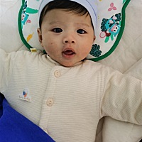 不睡觉的小娃娃，加油(ง •̀_•́)ง一起熬夜吧，看谁熬的过谁(｡･ω･｡)ﾉ♡😂😂😂😂