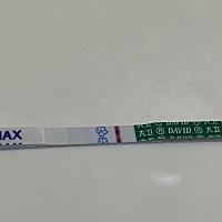 这是怀孕了吗？求解