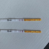 姐妹们，帮我看看这是中了吗？我已经期盼已久了，不想失望😞
