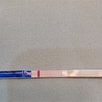 现在在备孕这个也不懂什么情况，大姨妈还推迟了，又感冒了，没有一点好事