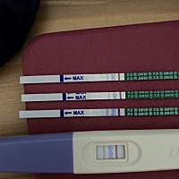 10.12排卵，这是怀孕了吗？