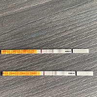 上次月经27号，中了没有