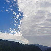 这个月推迟五天了，本以为宝宝来到我身边了，特别开心，谁曾想又见红了，一家人都变得宁静了，这几天不...