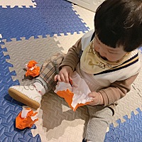 📖主题二：动物昆虫 ⏰时间：2020.10.24 🎮游戏要点：让宝宝通过障碍拿到想要的东西，不断锻炼宝宝...