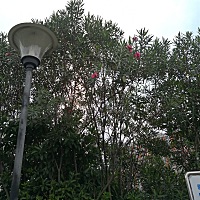 我觉得生活没乐趣了。忙家里忙的。你们会吗？