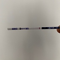 今天早上测了一下还是大白板