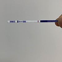 大家帮我看一下，是有了吗
