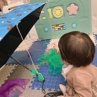 主题四：蝴蝶山谷彩色翅膀 ⏰时间：2020.10.28 🎮游戏要点：飞舞的蝴蝶让宝宝感知空间色彩的移动，手...