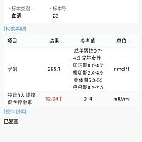绒促第十二天