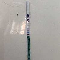 请问各位姐妹们，这个是真有了吗？