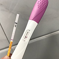 哎，排卵期10月18-27日，20-22-26同房，继第一次同房到现在15天，晨尿用了毓婷-金秀儿-可丽蓝都是白板。...