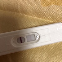 受精20多天，今天有点出血，什么情况。