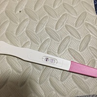 这是怀孕了吗