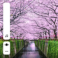 就喜欢这样的🌸