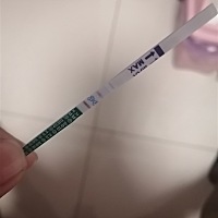 不知道是啥情况