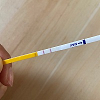 今早上测的，这样算是排卵了吗，什么时候安排功课呀，跪求各位姐妹帮忙看看