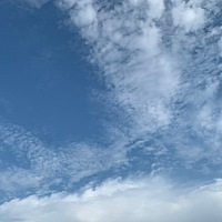 蓝天白云、微风徐徐、阳光温暖🌿天气好心情也会很好🌱......这一年的时间我收获了很多，最宝贵的就...