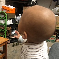 这个小家伙一天到晚就是摔跤摔跤