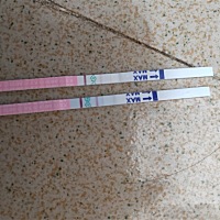 排卵期的后7天，深的是今晚测的，浅的是昨天，又会是排卵？？