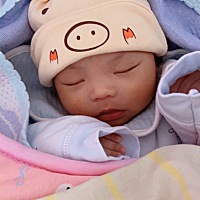 求推荐一款哺乳期能用的痔疮膏 每天上厕所疼的受不了😭