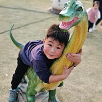 走到哪里都喜欢恐龙🦕