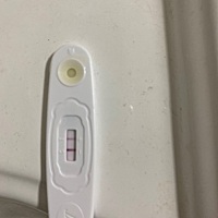 这是怀孕了吗