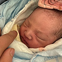 求发动第二天就开始宫缩规律咯    办好住院还没开指   四五个小时以后才开一指   疼到一直幻想打无痛   ...