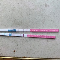 今天来例假，但是例假没来，排卵试纸测的弱阳，啥意思啊！早孕试纸测的大白板