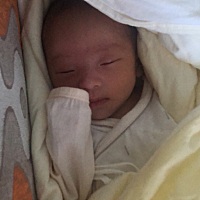 这小东西睡的真香.❤️