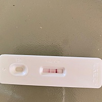 希望是真的，备孕半年了